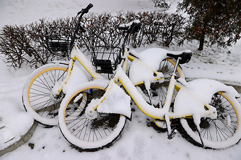 夜降雪后的明斯克街道