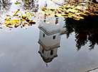 Reflection in the water of the Holy Trinity Church in Druya