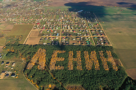 Tree inscription in honor of Vladimir Lenin near the village of Lyaskovichi