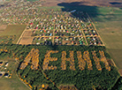 利亚斯科维奇村附近的弗拉基米尔·列宁树铭文