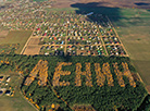 Tree inscription in honor of Vladimir Lenin near the village of Lyaskovichi