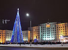 超过16000盏新年灯饰点亮了莫吉廖夫州的主要新年树