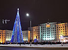 More than 16,000 lights switched on at the New Year Tree of Mogilev Oblast