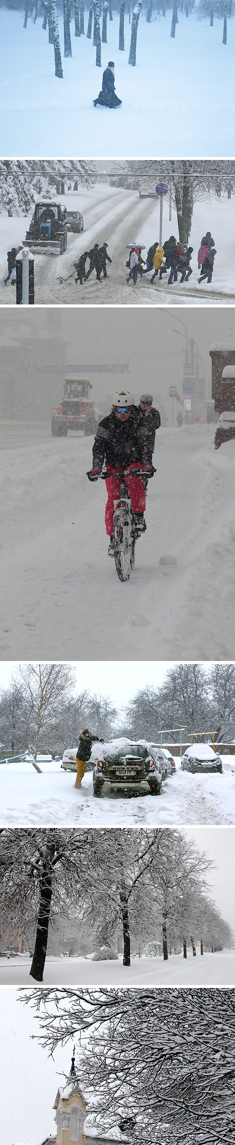 Цыклон 