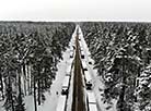 Чарга аўтамабіляў на беларуска-літоўскай граніцы 
