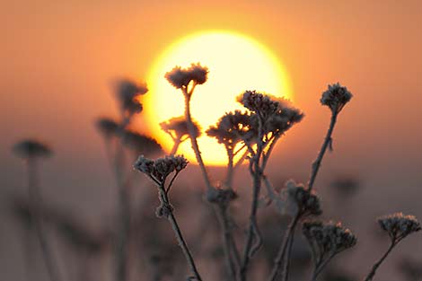 December sunset