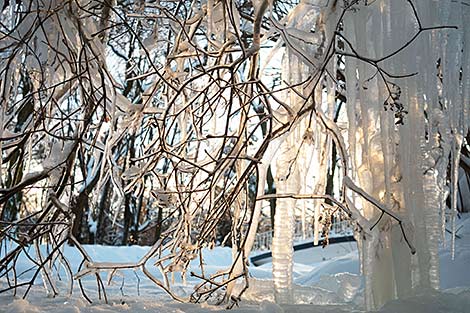Winter landscape