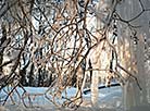 Winter landscape