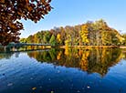 Golden autumn in Minsk