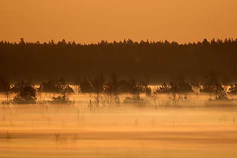 Dawn in Grodno District