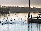 The Mukhavets River in Brest