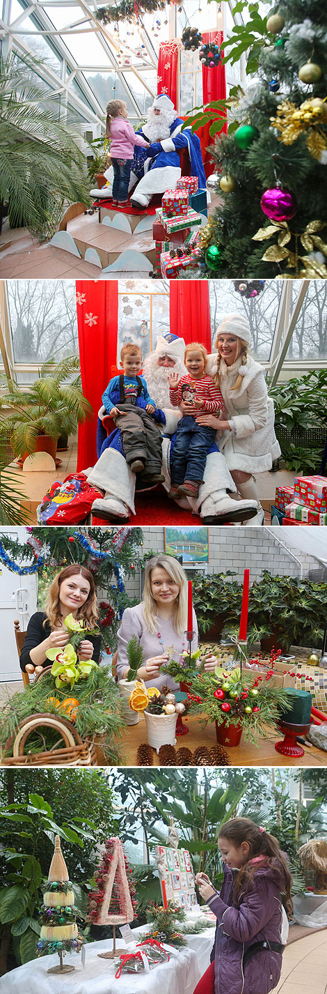 Magic of Christmas Lights in Minsk Botanic Garden