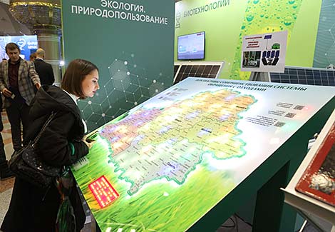 Выстаўка 