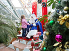 Magic of Christmas Lights in Minsk Botanic Garden