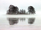 A foggy morning at Chigirinskoye Water Reservoir