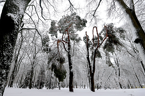 Столичный парк Горького после снегопада