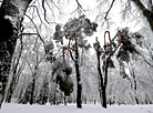 Gorky Park in Minsk after a snowfall 