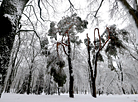 雪后的首都高尔基公园