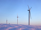 Windmills at sunset