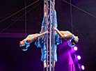 African Rhythms, a new show in Belarusian circus