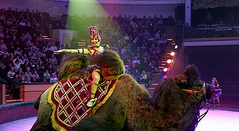 African Rhythms, a new show in Belarusian circus