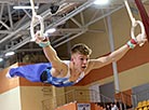 Belarusian Artistic Gymnastics Championships in Mogilev