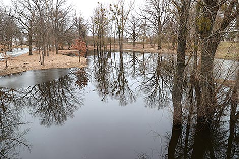 The Pripyat River breaks banks in Narovlya Park