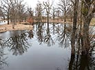 The Pripyat River breaks banks in Narovlya Park