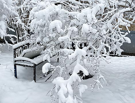 Heavy snowfall in Minsk