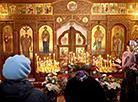 Праваслаўныя вернікі ў Віцебску святкуюць Вербную нядзелю 