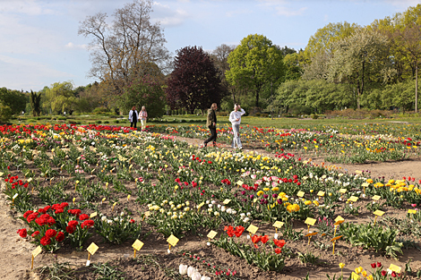 Spring in Botanical Garden in Minsk