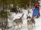 International mushers’ festival Northern Dogs 