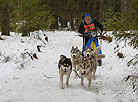 International mushers’ festival Northern Dogs 