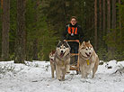 International mushers’ festival Northern Dogs 