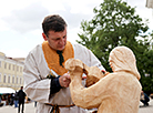 The Vyasnovy Buket (Spring Bouquet) fair in Minsk