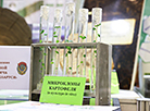 Ecology Expo 2023 in Minsk