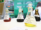 Ecology Expo 2023 in Minsk