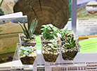 Ecology Expo 2023 in Minsk