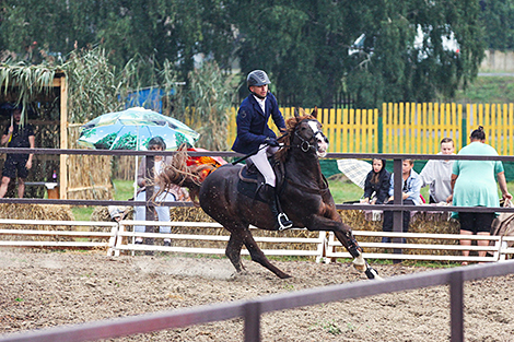 Polesskaya Niva 2023 horse festival in Stolin District 