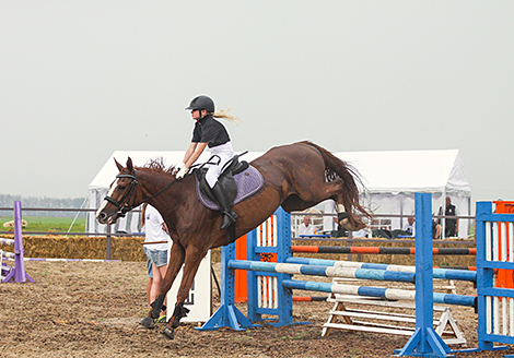 Polesskaya Niva 2023 horse festival in Stolin District 
