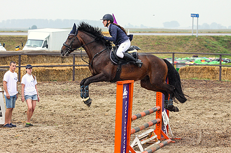 Polesskaya Niva 2023 horse festival in Stolin District 