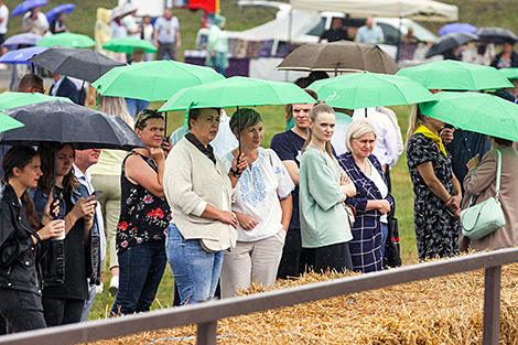Polesskaya Niva 2023 horse festival in Stolin District 