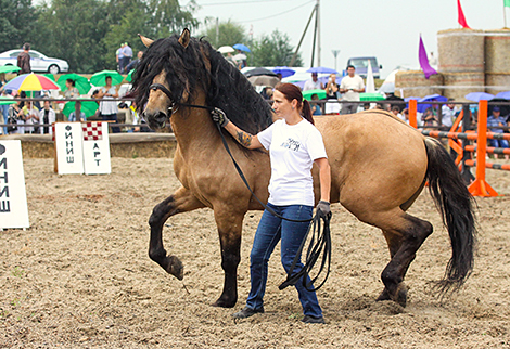 Polesskaya Niva 2023 horse festival in Stolin District 