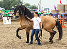 Polesskaya Niva 2023 horse festival in Stolin District 