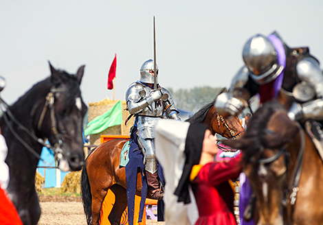 Polesskaya Niva 2023 horse festival in Stolin District 