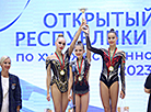 Кубак Беларусі па мастацкай гімнастыцы