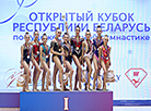 Кубак Беларусі па мастацкай гімнастыцы