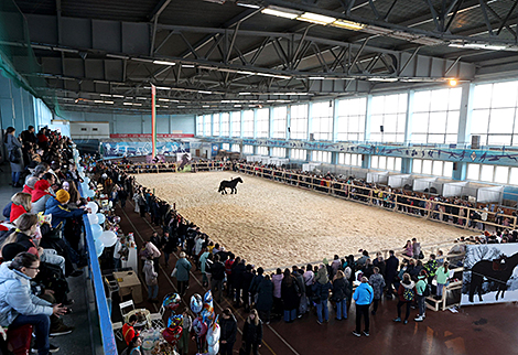 Horse show Autumn 2023 in Minsk