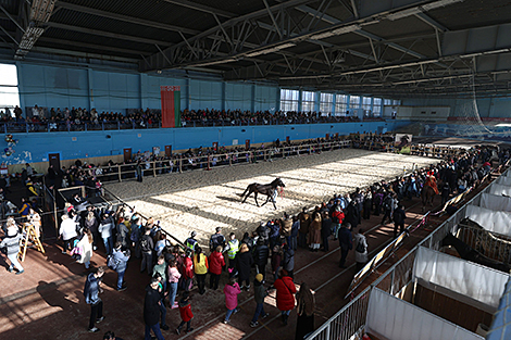 Horse show Spring 2024 in Minsk