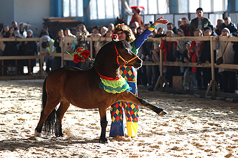 Horse show Spring 2024 in Minsk